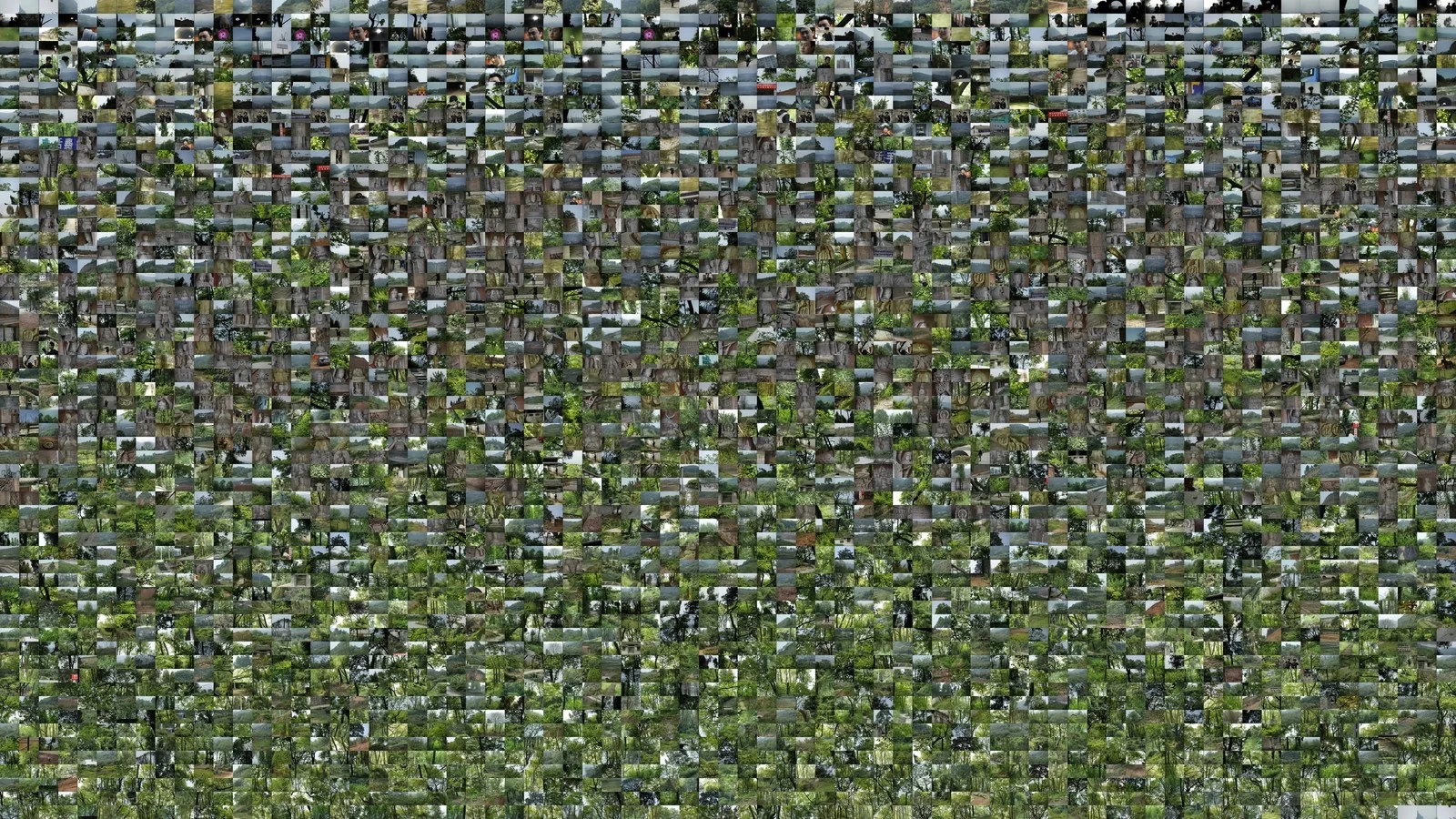 《鸡尾酒》另一版，2013。作品集第9页，所载尺寸180 × 100厘米。