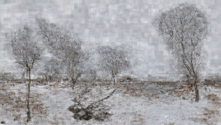 专题白色作品的2400像素预览把空灰天空、稀疏树木与雪地完整并置，右侧树冠较高，中央石块和地面暗线向远处延伸。照片碎格在亮部仍清楚交叠，整幅采用低饱和灰白色，只有少量土褐与枝干黑色穿插其间。