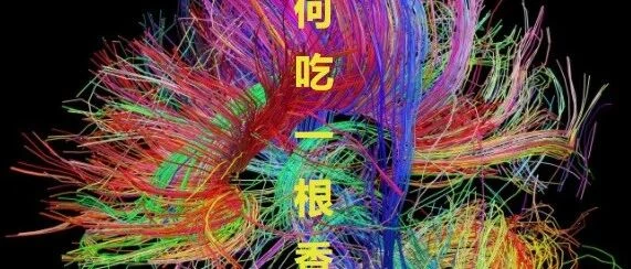 彩色线条中的如何吃一根香蕉标题