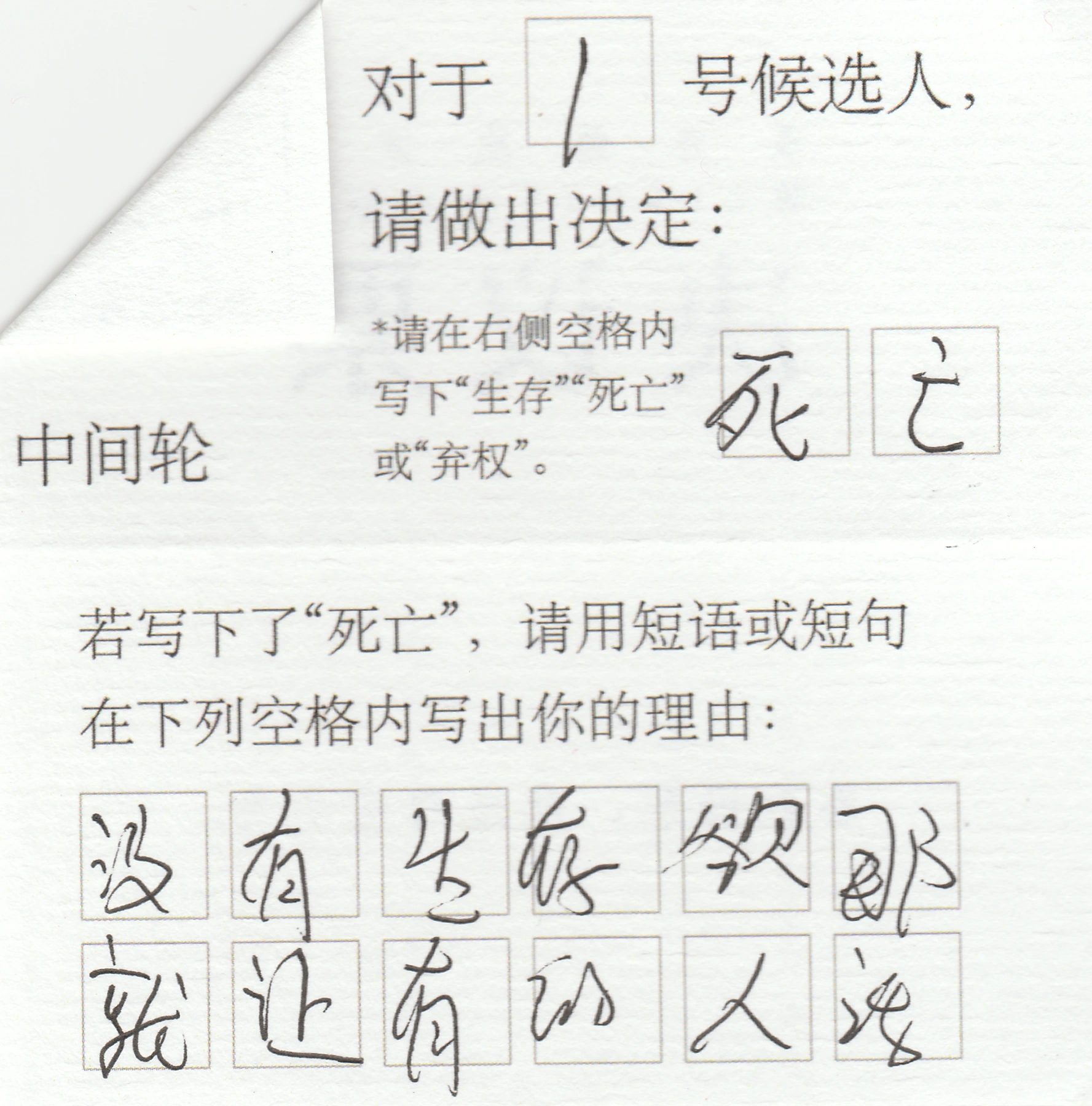 投票扫描纸本：左上折角遮挡决议员编号，可见候选编号、手写选择与理由格。同版式与手写理由在项目介绍第8页的文件归档拼贴中出现；只作匿名程序材料例，不统计或裁定票选结果。